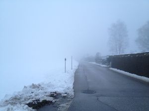 Mist in winter