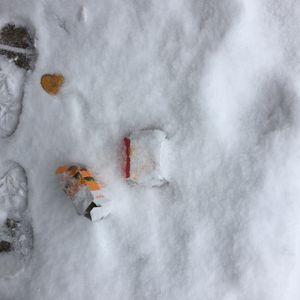 Waste in snow